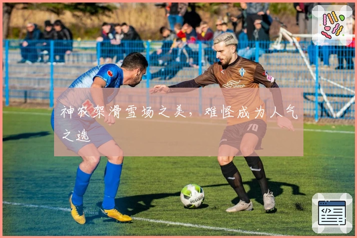 神农架滑雪场之美，难怪成为人气之选